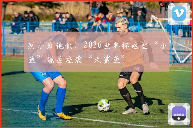 别小看他们！2026世界杯这些“小鱼”能否逆袭“大鲨鱼”