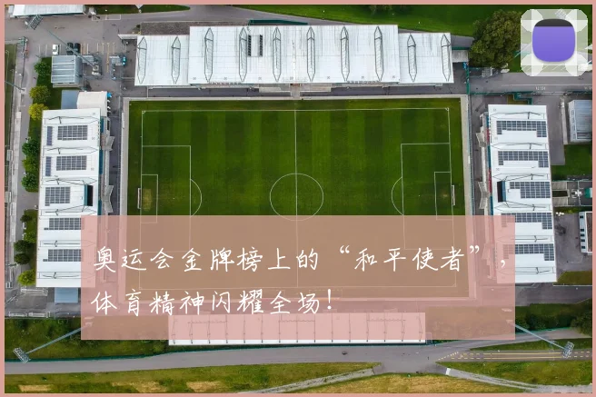 奥运会金牌榜上的“和平使者”,体育精神闪耀全场!
